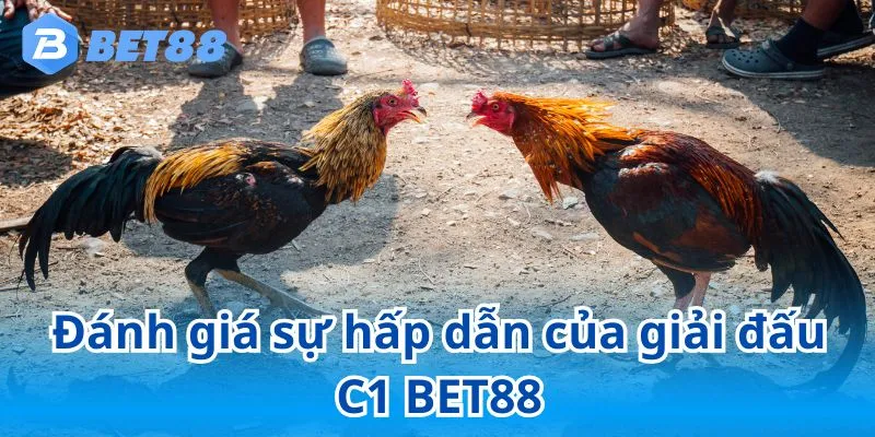 Bật mí kinh nghiệm đá gà C1 bất bại giúp người chơi thắng lớn