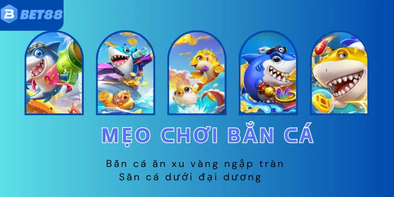 Bạn nên áp dụng thêm chiến thuật săn cá của các tay súng lâu năm