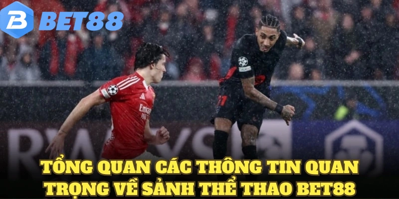 thể thao bet88 5 Tổng quan các thông tin quan trọng về sảnh thể thao BET88